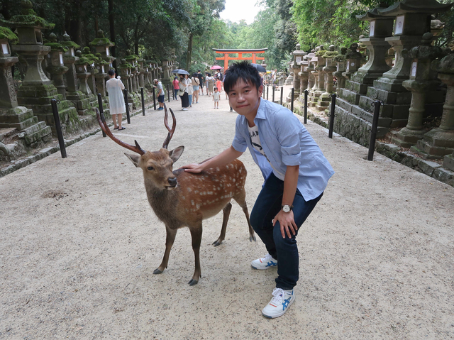 2018 關西甲子園熱血高校棒球+琵琶湖花火大會 Day 3~溫馴的鹿盡在奈良春日大社、MATSUDA SPORTS採買 2018 關西甲子園熱血高校棒球+琵琶湖花火大會 Day 3~溫馴的鹿盡在奈良春日大社、MATSUDA SPORTS採買