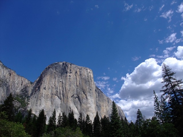 2008美西Day3-Yosemite優勝美地~我去吃Burger King真的很虧 2008美西Day3-Yosemite優勝美地~我去吃Burger King真的很虧