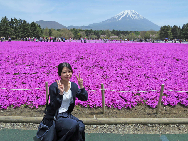 2017 東京賞花+購物的超人行程-DAY 3~如詩如畫的富士山芝櫻祭 2017 東京賞花+購物的超人行程-DAY 3~如詩如畫的富士山芝櫻祭