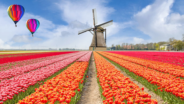 Outing Notice:2018.4.28~2018.5.7 (Netherlands) Outing Notice:2018.4.28~2018.5.7 (Netherlands)