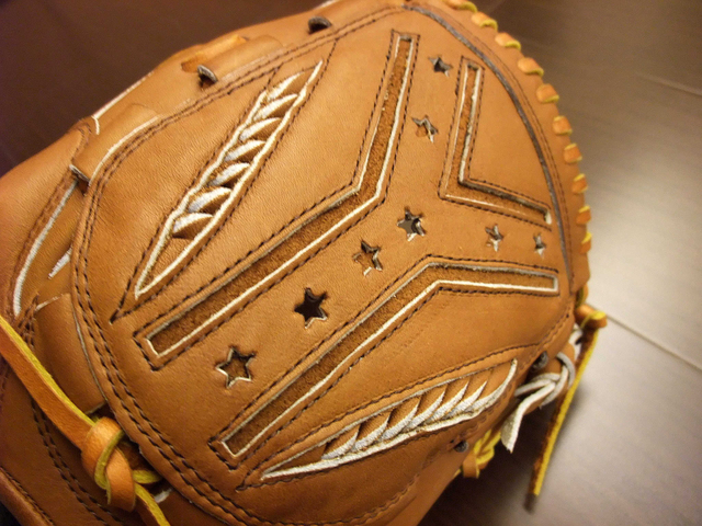 猜猜這是誰家的球擋 猜猜這是誰家的球擋