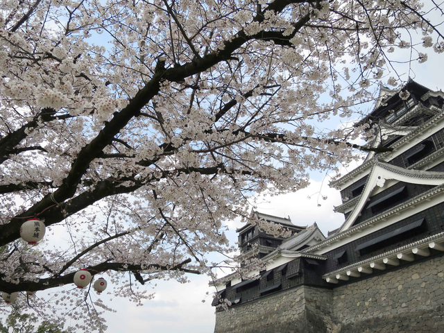 天佑熊本 天佑熊本