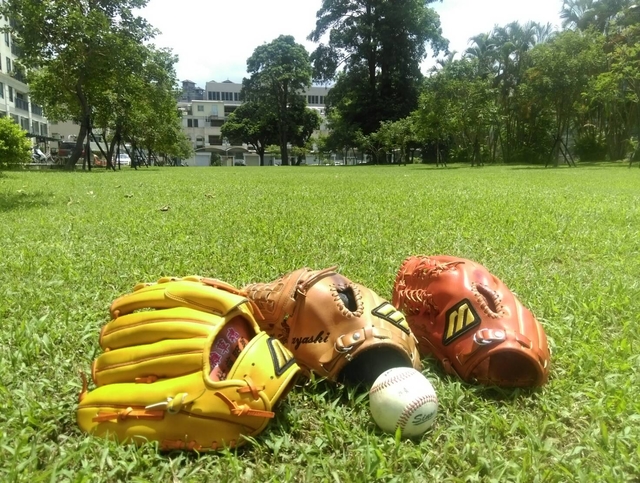 我喜歡這個角度! 我喜歡這個角度!