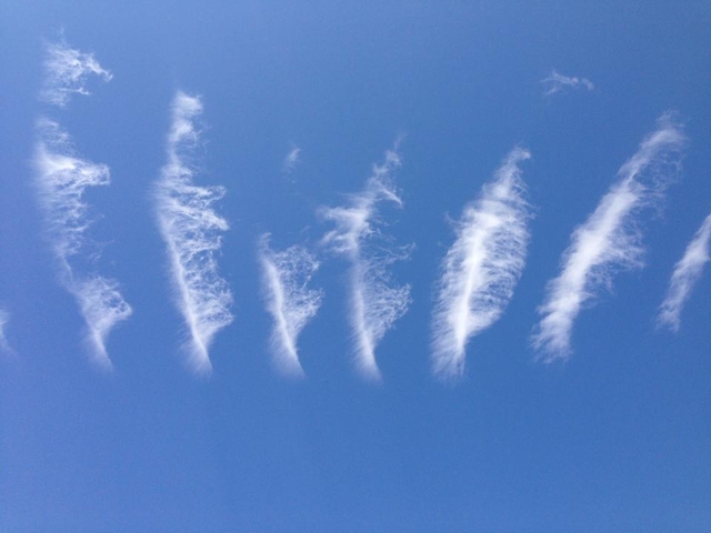 遠行公告 遠行公告