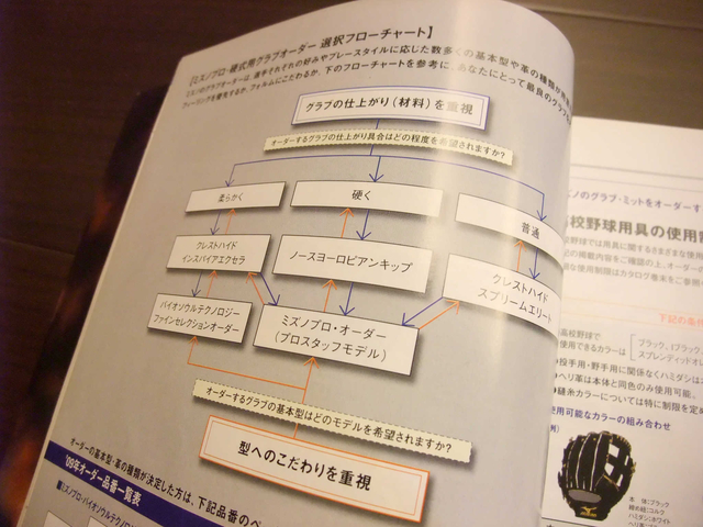 DSCF7653.JPG - 網誌用的圖片