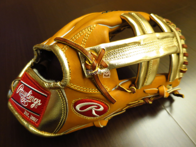 <手套欣賞> 金色十字擋+兔肉的魅力~Rawlings HOH PROTT2