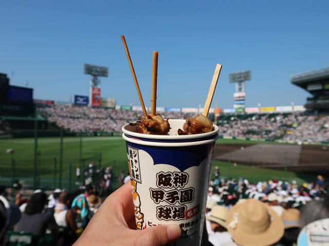 IMG_4263.JPG - 2018 日本關西甲子園高校野球+琵琶湖煙火