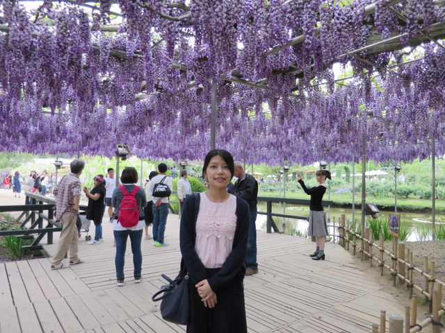 2017 東京賞花+購物的超人行程-DAY 2~枥木足利公園紫藤；上野貓熊紅豆餅、麵屋武藏