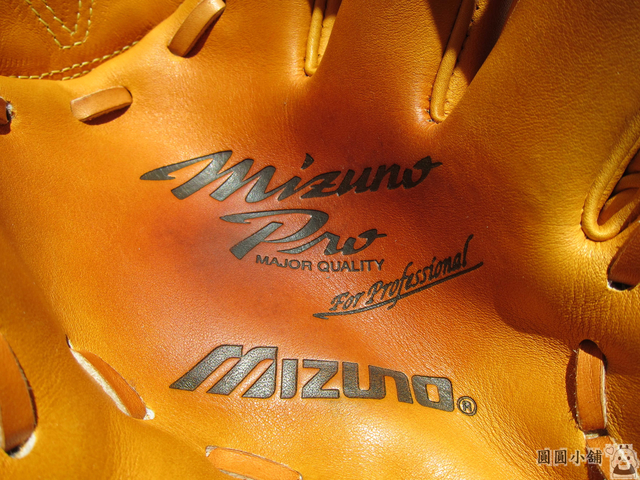 IMG_2782.JPG - mizuno pro for p 新垣渚(大M金標)