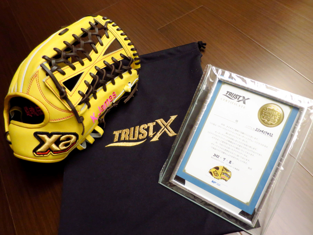 【圓圓小舖】原來訂製日本棒球手套也可以拿獎牌XD~日製硬式ザナックス XANAX TRUST X special order 特別訂製棒壘球手套