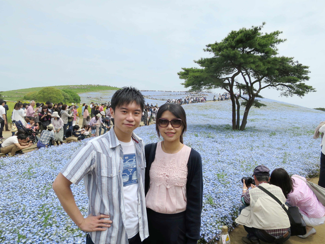 2017 東京賞花+購物的超人行程-DAY 2~茨城國營日立海濱公園賞粉蝶花