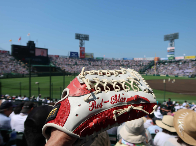 IMG_4474Y.JPG - 2018 日本關西甲子園高校野球+琵琶湖煙火