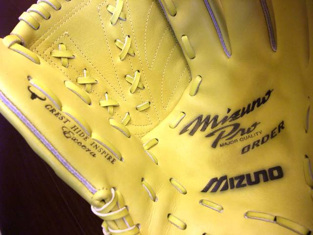 【手套欣賞】 Mizuno pro order (crest hide inspire excera)